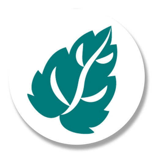 Platzhalter für Profilbild