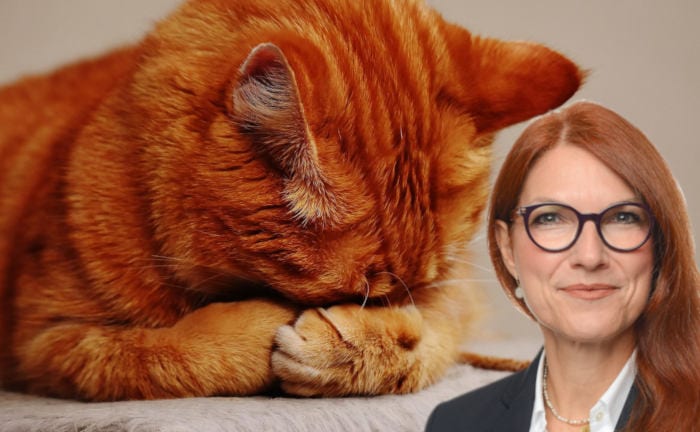 bAV-Expertin Cordula Vis-Paulus und der Kater: Tipps, wie man ihn vermeiden kann