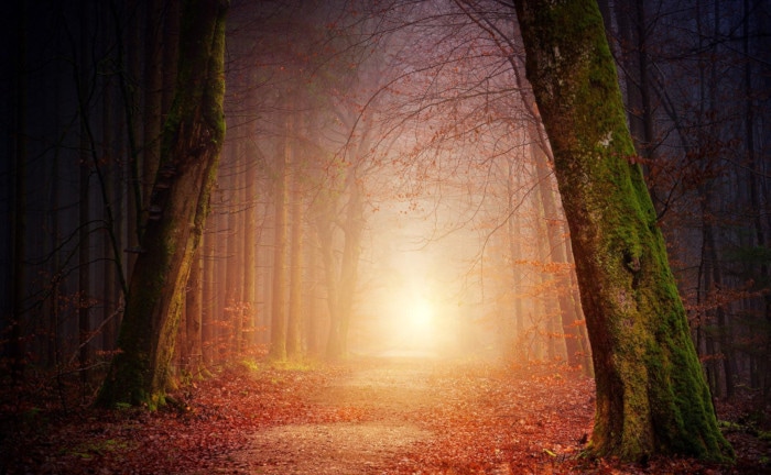 Steigende Zinsen führen Lebensversicherer zurück ins Licht, erzeugen aber auch einigen Schatten
