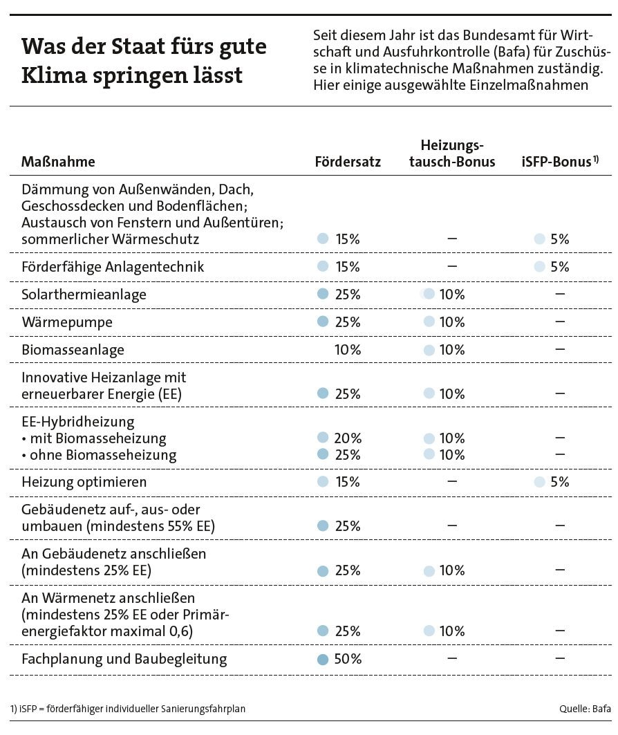 Zuschüsse zu klimafreundlichen Sanierungsmaßnahmen (Quelle: Bafa)