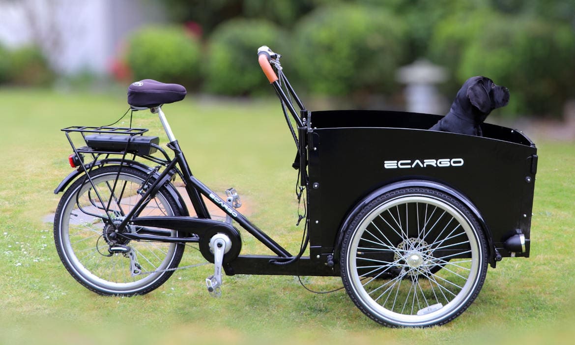 Gut versichert elektrisch unterwegs: Welcher Versicherer für E-Bikes bietet den besten Service?