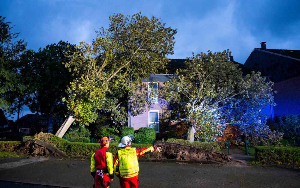 Sturmschäden im Herbst 2023 im schleswig-holsteinischen Haffkrug: Makler zeigen sich optimistisch, was den Umsatz mit Wohngebäudeversicherungen angeht