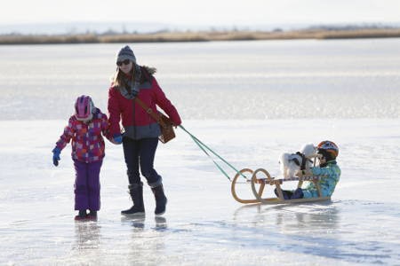 Familie am Schlittschuhlaufen auf einem See: Schlittschuhlaufen ist in Deutschland ein beliebter Freizeitsport im Winter. (Foto: picture alliance / VIE7143 | Leopold Nekula)