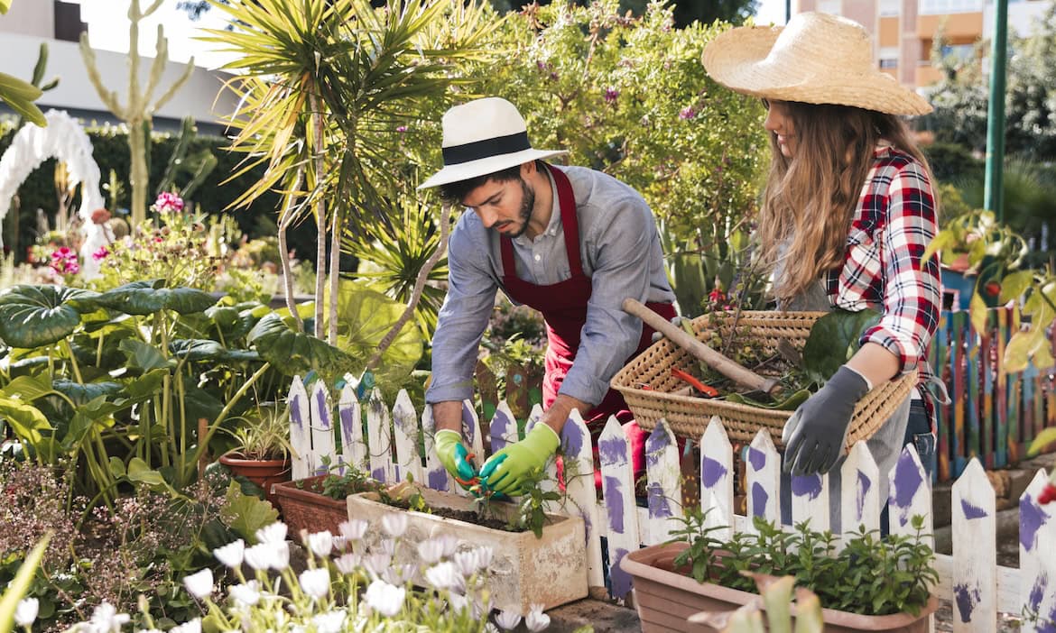 Paar gärtnert im Kleingarten: Eine Kleingartenversicherung deckt andere Schäden ab als eine klassische Hausratversicherung.