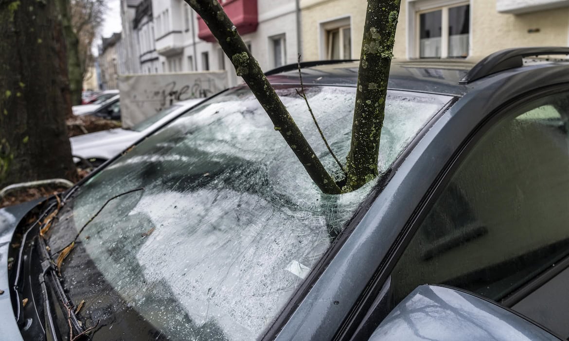 Ein Ast durchbohrt eine Windschutzscheibe: Sturmschäden kosten KFZ-Versicherer Milliardenbeträge pro Jahr.