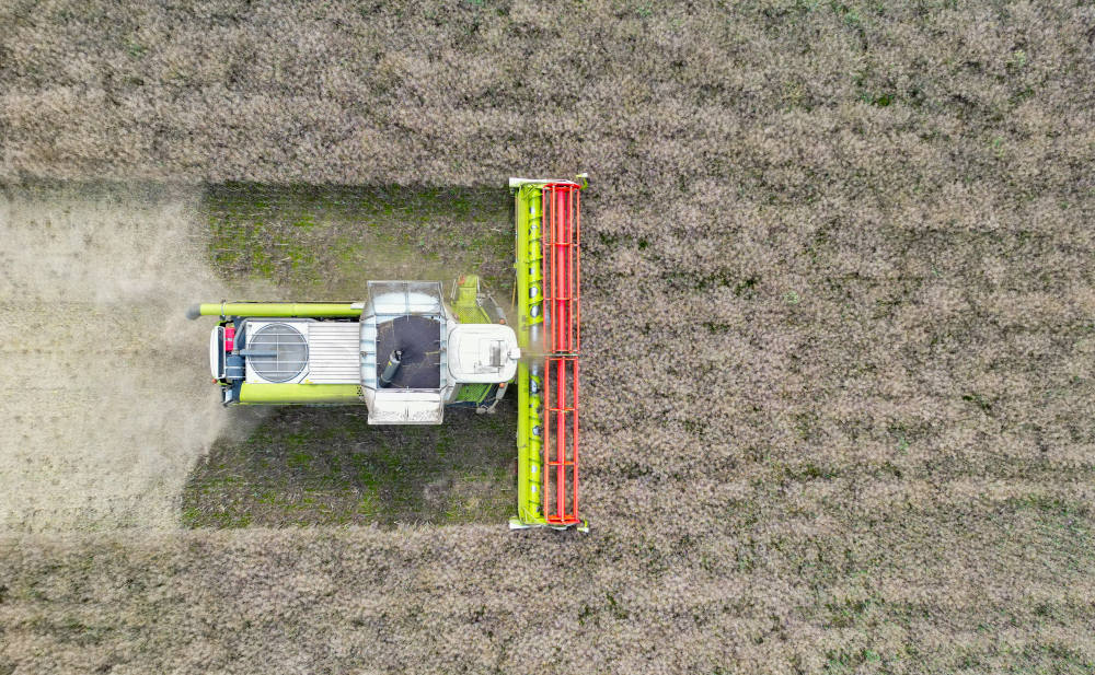 Landwirt erntet mit dem Mähdrescher Raps: Berufs- oder Betriebshaftpflichtversicherung sind auch in diesem Beruf Pflicht