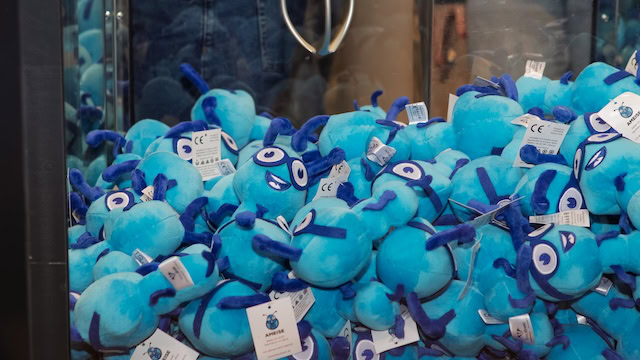 Ameisen! Überall Ameisen! Foto: Blau Direkt